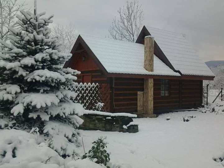 Bed & Breakfast W Ogrodach *