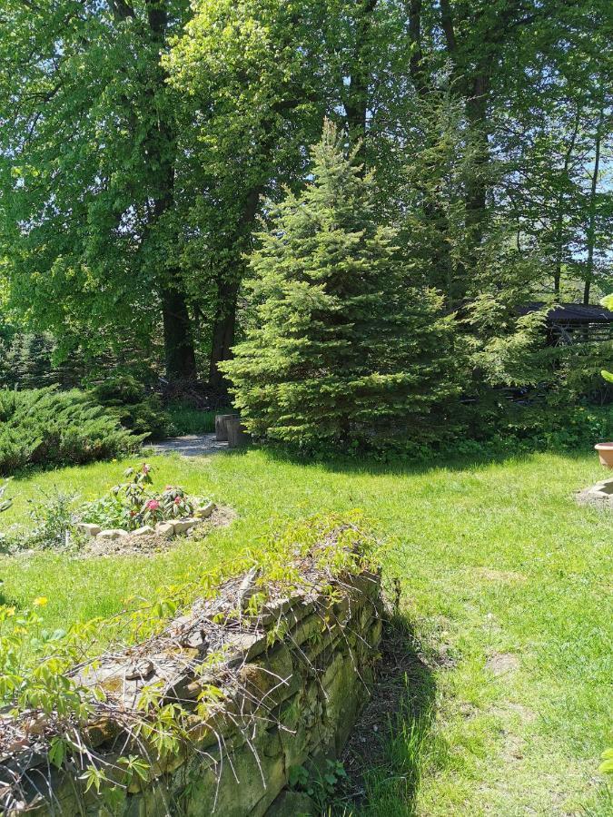 W Ogrodach Bed & Breakfast
